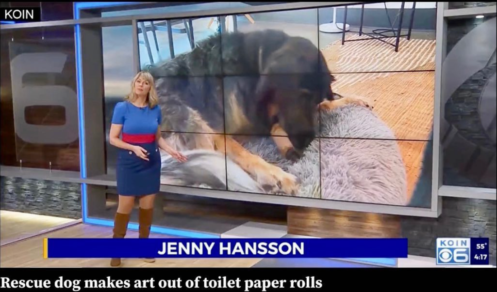 This is a link and screen capture of Henry, a rescue dog, creating a sculpture on television, with the KOIN TV host Jenny Hansson introducing the video piece about Henry and his sculpture book.