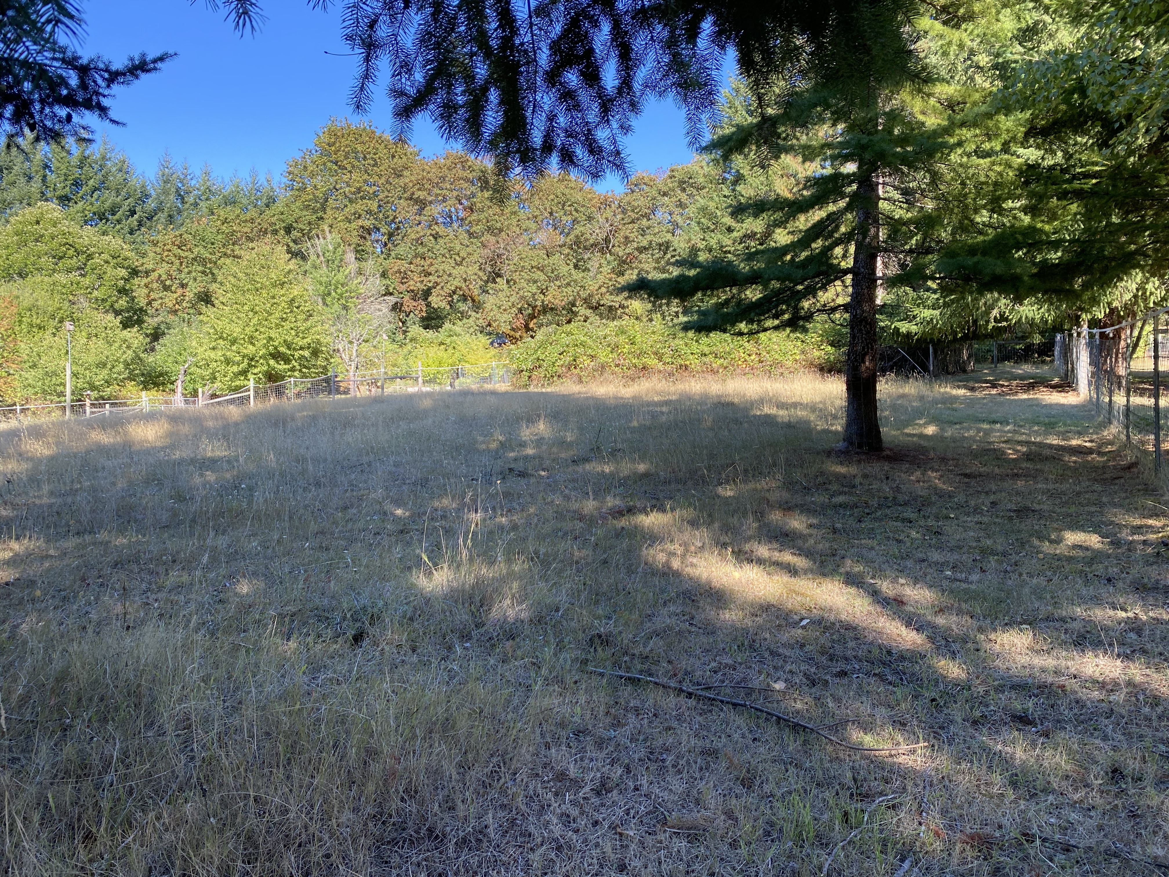 Images of Maple Reach Sniffspot private dog park